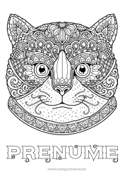 Pagină de colorat gratuită Pisică Animal Desene de colorat complexe Zentangle Câini și pisici Cap