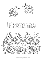 Desen liber de colorat Flori Primăvară Animal Albină Insecte