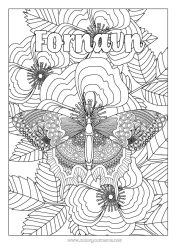 Gratis tegning Rolig og zen Sommerfugl Dyr Komplekse fargelegginger Zentangle Insekter
