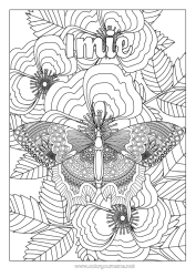 Rysunek za darmo Spokojny i zen Motyl Zwierzę Złożone kolorowanki Zentangle Owady