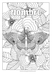 Colorear gratis Calma y zen Mariposa Animales Dibujos complejos para colorear Zentangle Insectos