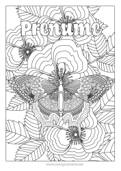 Pagină de colorat personalizată Liniștit și zen Fluture Animal Desene de colorat complexe Zentangle Insecte