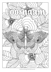 Gratis kleurplaat Rustig en zen Vlinder Dier Complex Kleurplaten Zentangle Insecten