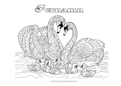 Gratis färgläggning Djur Svan Zentangle Fåglar och flygande däggdjur Familj Djurfamilj Bebisdjur