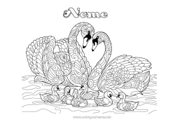 Desenho grátis Animal Cisne Zentangle Pássaros e mamíferos voadores Família Família de animais Filhote