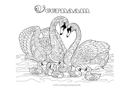 Gratis tekening Dier Zwaan Zentangle Vogels en vliegende zoogdieren Familie Dierenfamilie Dierenbaby