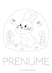 Desen liber de colorat Flori Primăvară Iepure Fluture Activități pentru copii Animal Desene de colorat ușoare Urmează și colorează Insecte Animale din pădure
