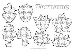 Kostenlose Zeichnung Kinderaktivitäten Blätter Baum Champion Eichel Labyrinth Eiche Ahorn