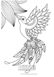 Kolorowanka za darmo Ptak Zwierzę Zentangle Ptaki i latające ssaki Koliber