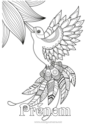 Coloriage gratuit Oiseau Animal Zentangle Oiseaux et mammifères volants Colibri