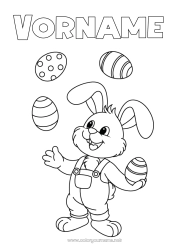 Kostenlose Malvorlage Hase Tier Ostereier Ostern Waldtiere