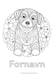 Gratis fargelegging Mandala Hund Dyr Hunder og katter