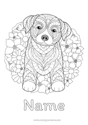 Colouring to customise Mandala Dog Animal Dogs And Cats