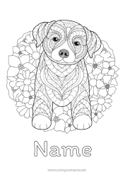 Free drawing Mandala Dog Animal Dog and cat
