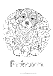 Coloriage gratuit Mandala Chien Animal Chiens et chats
