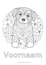 Gratis kleurplaat Mandala Hond Dier Honden en katten