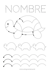 Colorear gratis Tortuga Actividades para niños Animales Trazo y color Animales marinos o acuáticos Reptiles Tortuga terrestre Ficha de grafismo para educación infantil