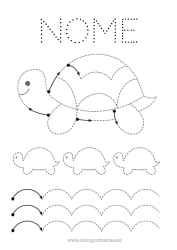 Desenho para personalizar Tartaruga Atividades para Crianças Animal Rastreie e Pinte Animais marinhos ou aquáticos Répteis Tartaruga terrestre Folha de atividades de grafismo para educação infantil