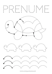 Desen liber de colorat Broască țestoasă Activități pentru copii Animal Urmează și colorează Animale marine sau acvatice Reptile Broască țestoasă terestră Fișă de grafică pentru grădiniță
