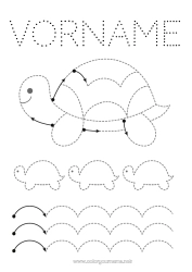 Kostenlose Zeichnung Schildkröte Kinderaktivitäten Tier Spur und Male Meeres- oder Wasserlebewesen Reptilien Landschildkröte Grafikblatt für den Kindergarten