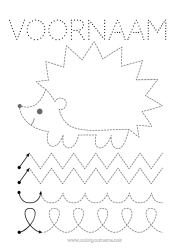Gratis kleurplaat Egel Herfst Activiteiten voor Kinderen Dier Trace et colorie Bosdieren Grafische werkblad voor de kleuterschool