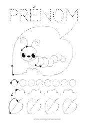 Coloriage gratuit Printemps Animal Feuilles Coloriages faciles Trace et colorie Insectes Chenille Fiche de graphisme maternelle