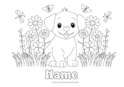 Free colouring Flowers Dog Spring Animal Dogs and cats