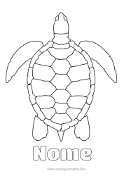 Desenho para personalizar Tartaruga Desenhos para colorir fáceis Animais marinhos ou aquáticos Répteis Tartaruga marinha
