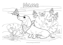Free colouring Dog Spring Butterfly Animal Insects Dogs and cats Dachshund