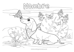 Dibujo libre Perro Primavera Mariposa Animales Insectos Perros y gatos