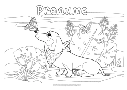 Desen liber de colorat Câine Primăvară Fluture Animal Insecte Câini și pisici