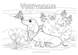 Gratis kleurplaat Hond Lente Vlinder Dier Insecten Honden en katten