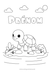 Dessin gratuit Tortue Animal Reptiles Île Tortue terrestre
