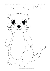 Pagină de colorat personalizată Animal Desene de colorat ușoare Urmează și colorează Animale marine sau acvatice Vidra