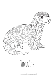 Kolorowanka za darmo Zwierzę Zentangle Zwierzęta morskie lub wodne Wydra