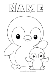 Free colouring Penguin, Tuxedo Animal Easy colouring pages Birds and flying mammals Animal family Cub