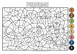 Pagină de colorat personalizată Broască țestoasă Meduză Desene magice de colorat Activități pentru copii Animal Animale marine sau acvatice Reptile Broască țestoasă marină