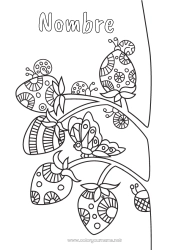 Colorear gratis Animales Caracol Mariquita Frutas Fresa Zentangle Insectos