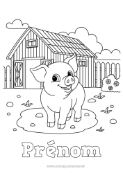 Coloriage à personnaliser Cochon Animal Ferme Animaux de la ferme