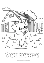 Malvorlage anpassen Schwein Tier Bauernhof Bauernhoftiere