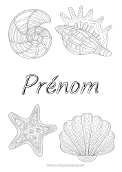 Coloriage gratuit Animal Coquillages Zentangle Étoile de mer Animaux marins ou aquatique