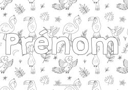 Coloriage à personnaliser Animal Nom décoré Toucan Flamant rose Oiseaux et mammifères volants Fond décoratif