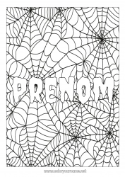 Coloriage gratuit Araignée Halloween Insectes