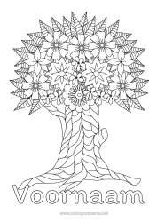 Gratis kleurplaat Bloemen Boom Zentangle