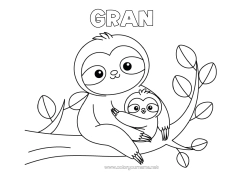 Free colouring Animal Forest animals Sloth Animal family Cub