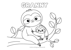 Child coloring page Animal Forest animals Sloth Animal family Baby animal