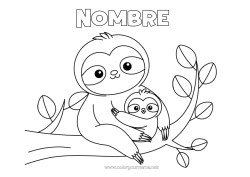Colorear gratis Animales Animales del bosque Perezoso Familia de animales Bebé animal