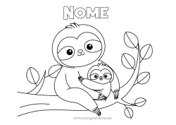 Desenho grátis Animal Animais da floresta Preguiçoso Família de animais Filhote