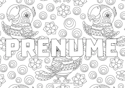 Pagină de colorat personalizată Animal Papagal Nume decorat Zentangle Păsări și mamifere zburătoare Mozaicuri Fundal decorativ