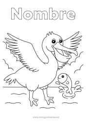 Colorear gratis Pájaro Animales Aves y mamíferos voladores Pelícano